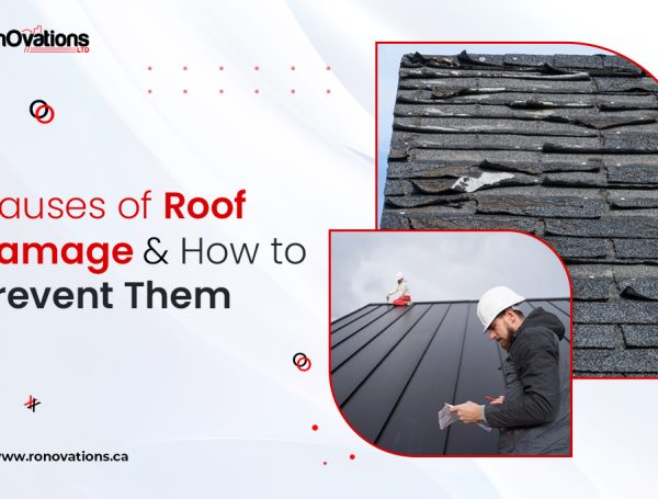 Causes of Roof Damage and How to Prevent Them