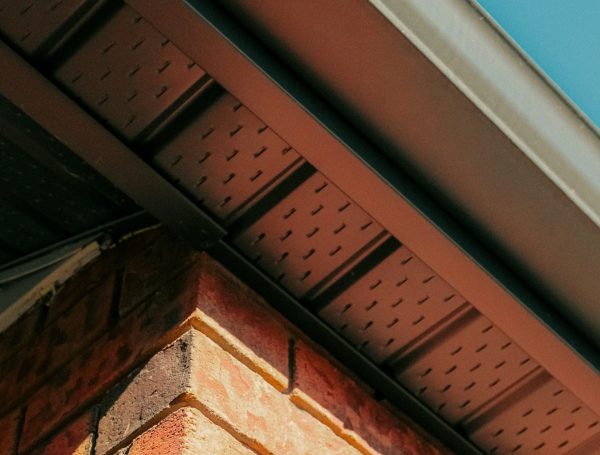 roof edge fascia and eaves system