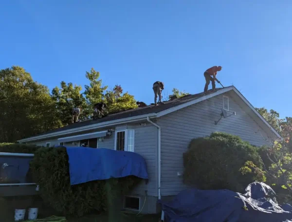 shingle roof replacement Toronto project