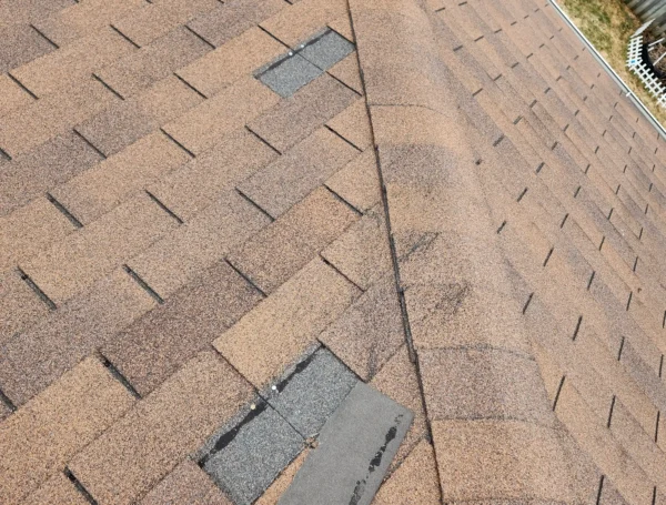 shingle roof in Toronto