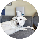 Gabe Bouvier profile picture