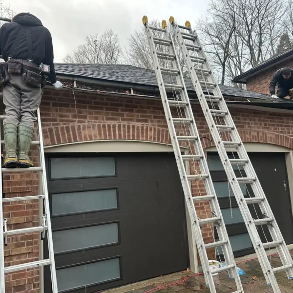 Roof Maintenance