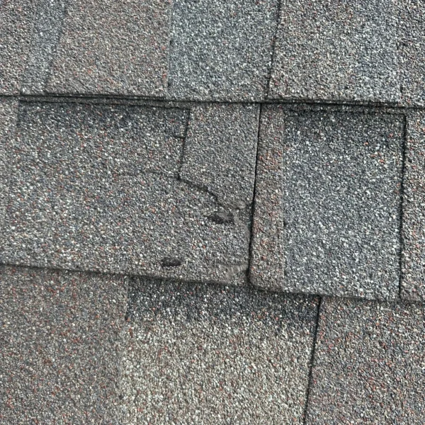Roof Maintenance