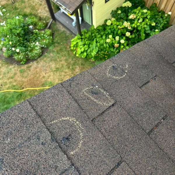 Roof Maintenance