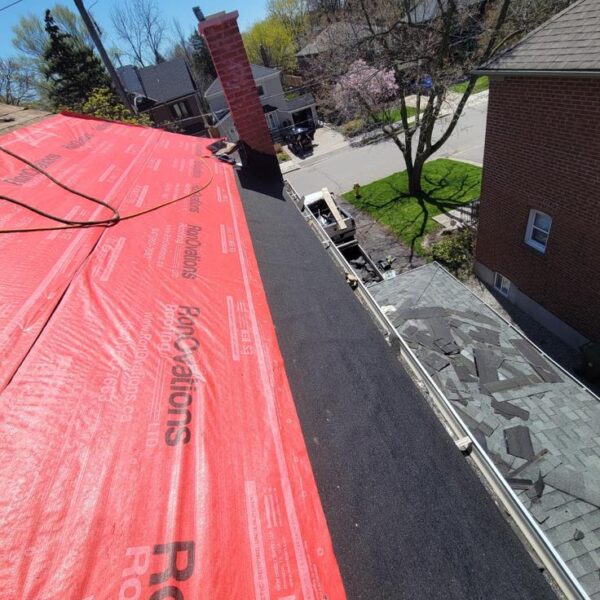 New Shingle Roof project-RonOvations