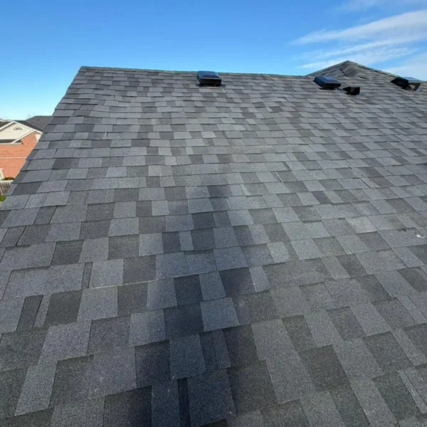 New Shingle Roof project-RonOvations