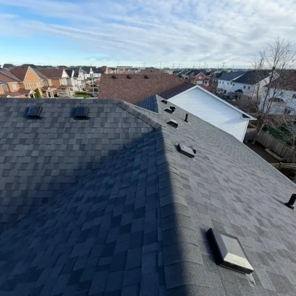 New Shingle Roof project-RonOvations