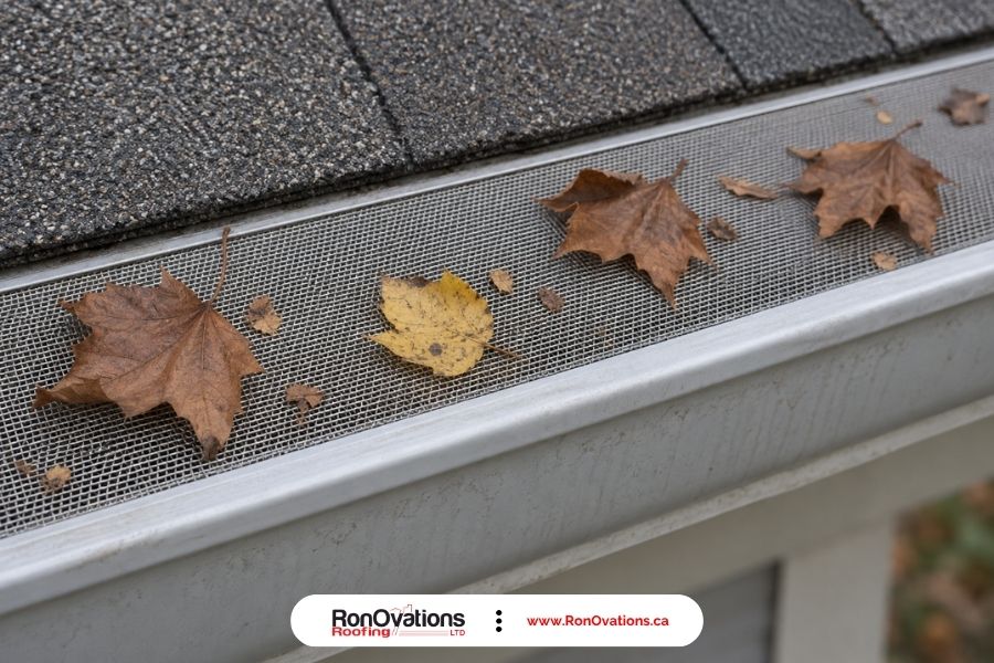 Inspect guard surfaces and drainage after leaf fall; follow the product's maintenance instructions.
