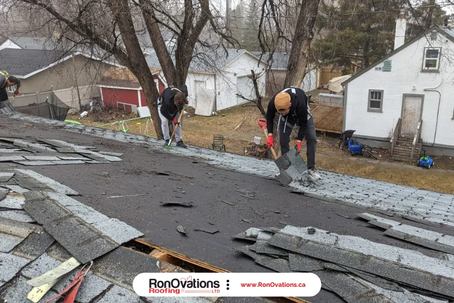 roof replacement process shingles installation